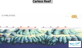 /photos/dive-sites/Carless Reef_4cab0_lg.jpg